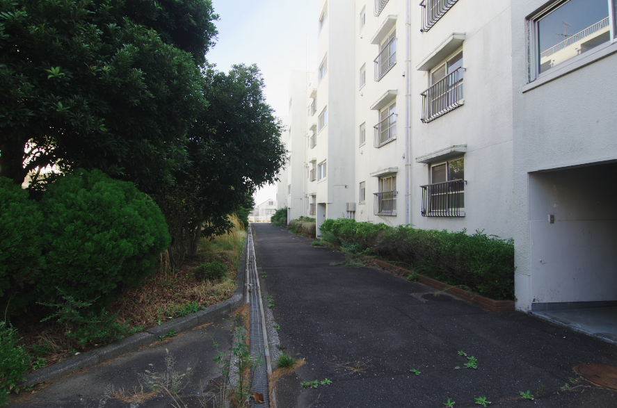 思い出撮影、in　上大岡花王僚_e0110234_1523514.jpg