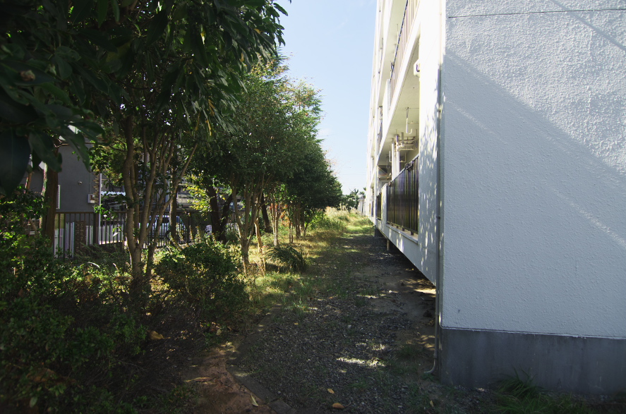 思い出撮影、in　上大岡花王僚_e0110234_154979.jpg