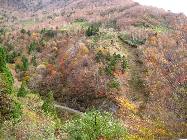 b0149340_1150915.jpg