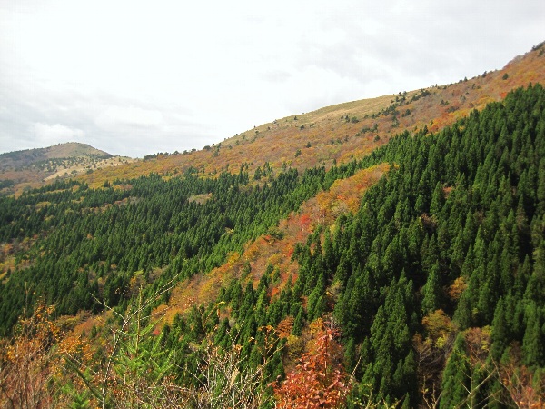 b0149340_11521215.jpg