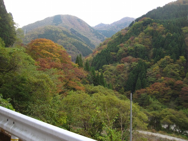 b0149340_12235653.jpg