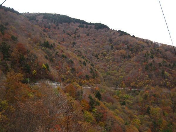 b0149340_12393048.jpg