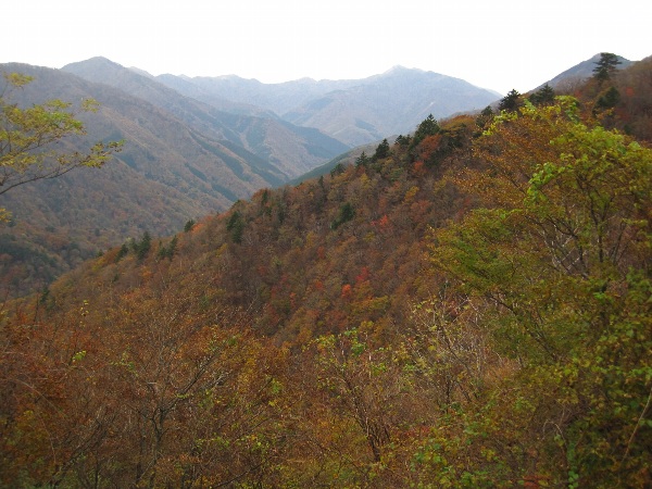 b0149340_12394421.jpg