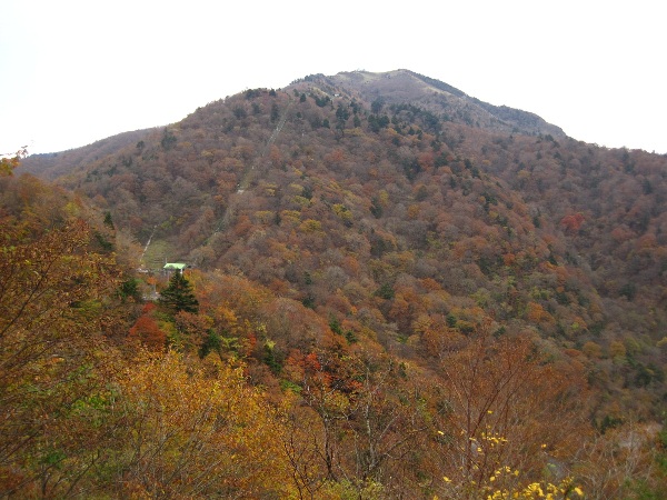b0149340_1440614.jpg