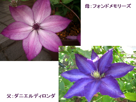 c0025140_85796.jpg
