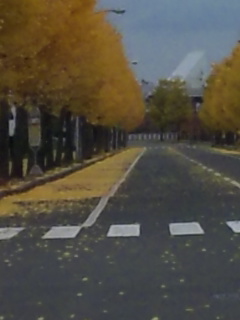 f0219840_23412027.jpg