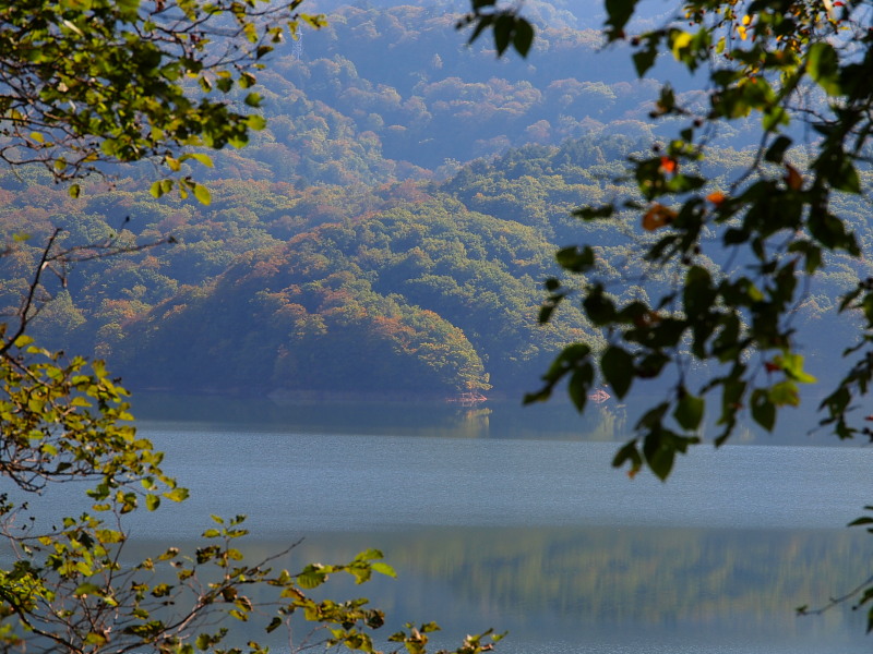 a0106043_16183388.jpg