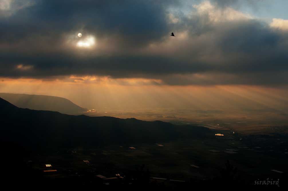 d0238245_910238.jpg