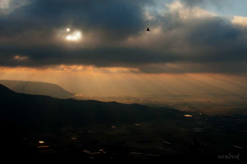 やっと阿蘇五岳の雲海を･･･_d0238245_910238.jpg