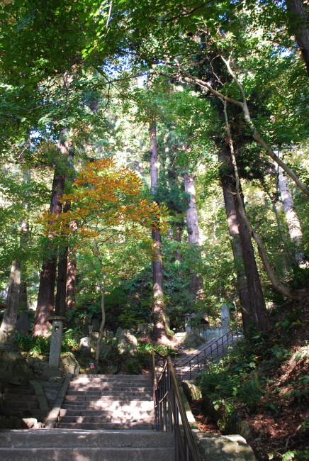 ・・・山寺・立石寺・・・_f0089945_6131858.jpg