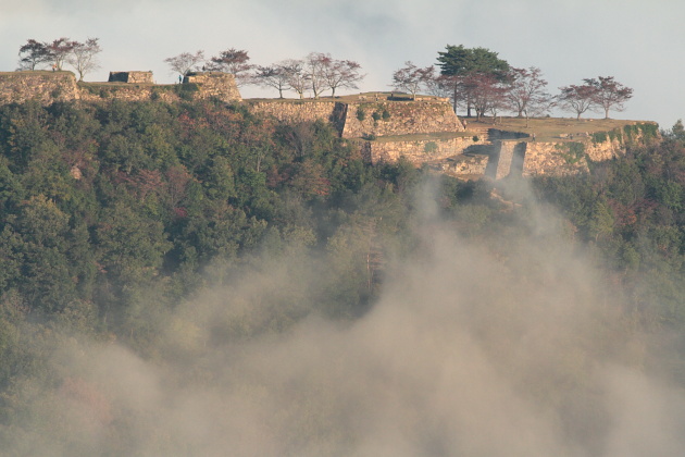 竹田城雲海②_b0162847_4225250.jpg