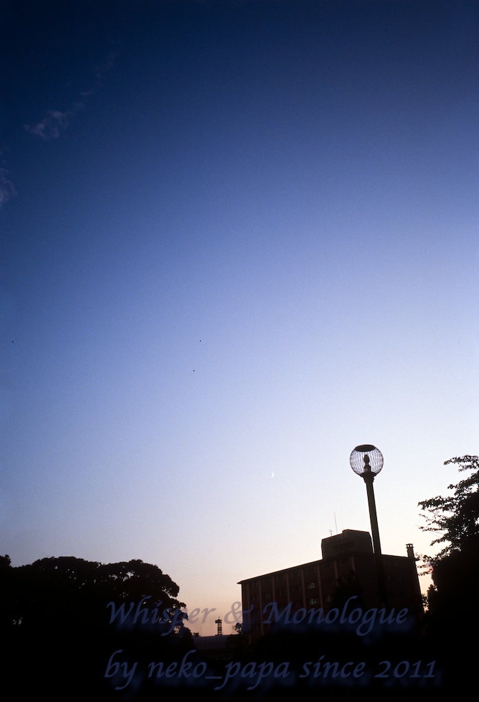 e0190554_16353383.jpg