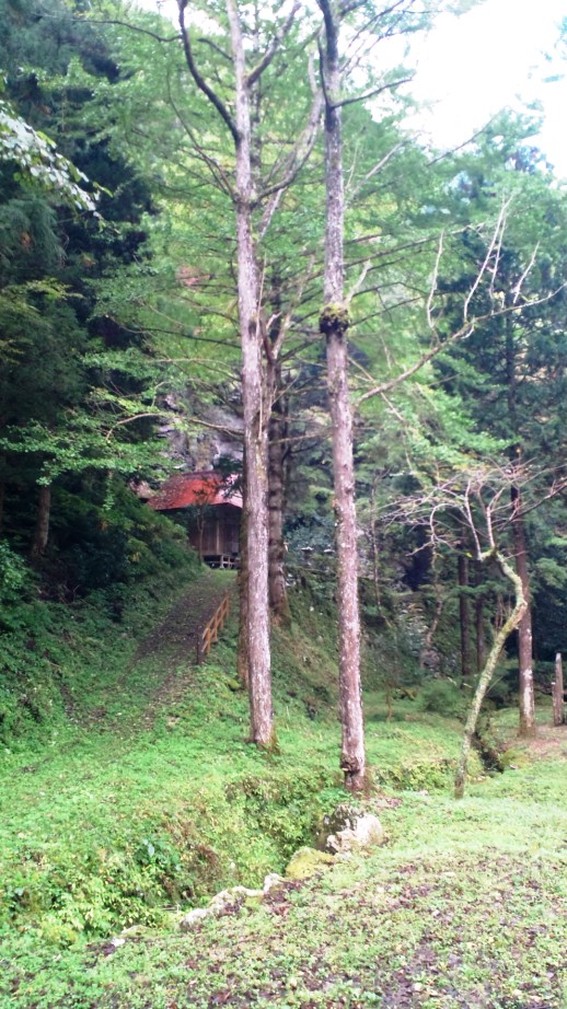 c0173159_22324410.jpg