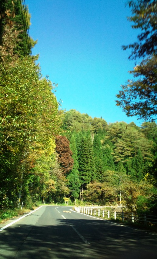c0173159_22383364.jpg