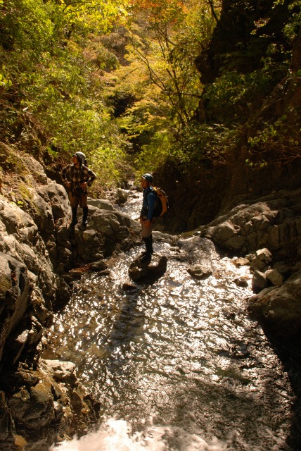 d0110562_8292735.jpg