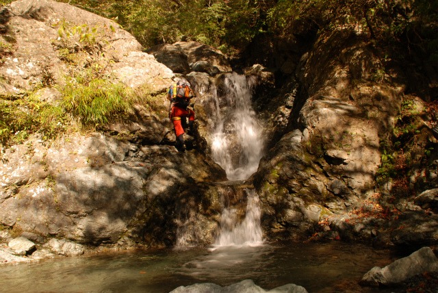 d0110562_8293438.jpg