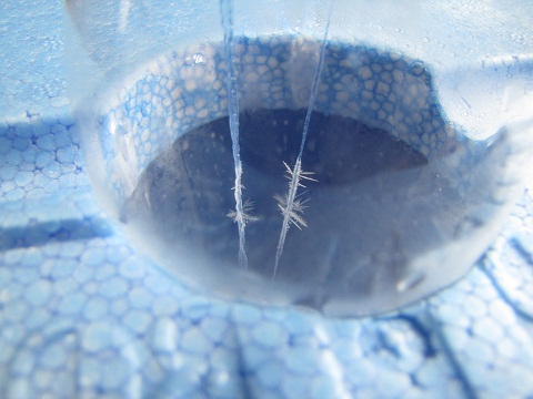 b0183566_1547572.jpg