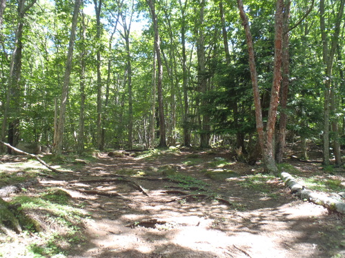 e0244967_2141898.jpg