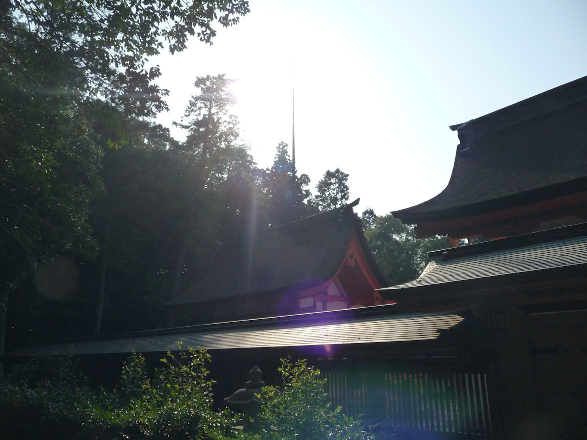 e0165472_2375042.jpg