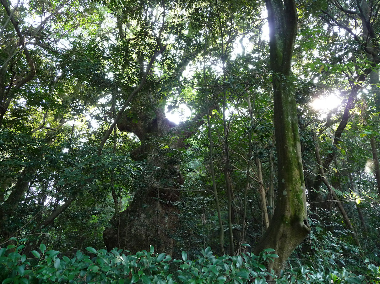 e0165472_2422343.jpg