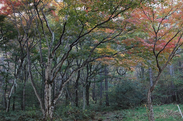 c0212083_23302528.jpg