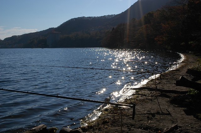 c0212083_2340987.jpg