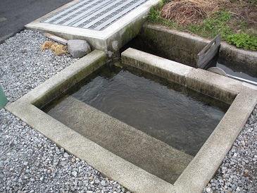 美味しかったお米を今までありがとう・・・_a0211886_15192052.jpg