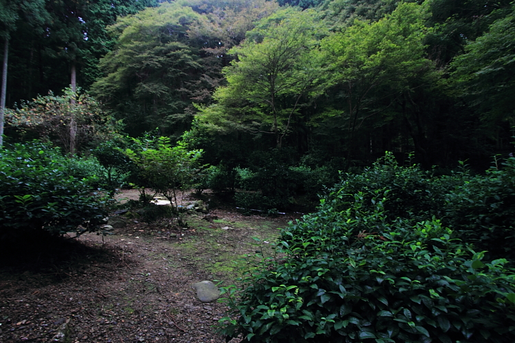 高山寺_e0051888_518508.jpg
