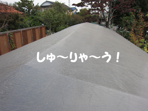 黒松 手入れ 剪定_b0200291_18431472.jpg