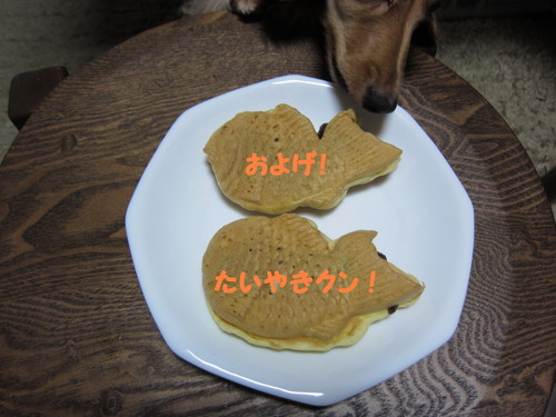 黒松 手入れ 剪定_b0200291_1922038.jpg