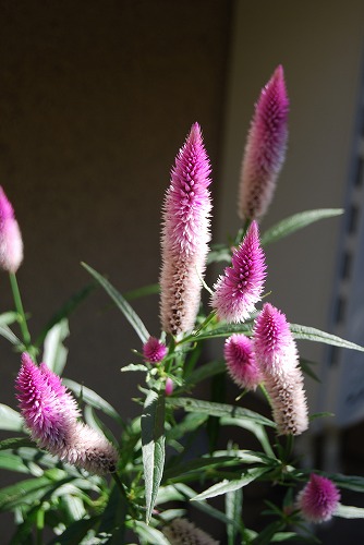 c0124100_23173053.jpg
