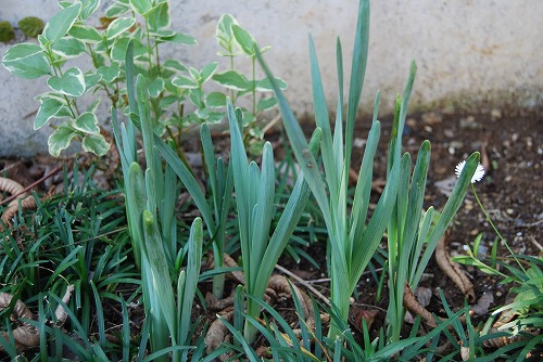 c0124100_2317453.jpg