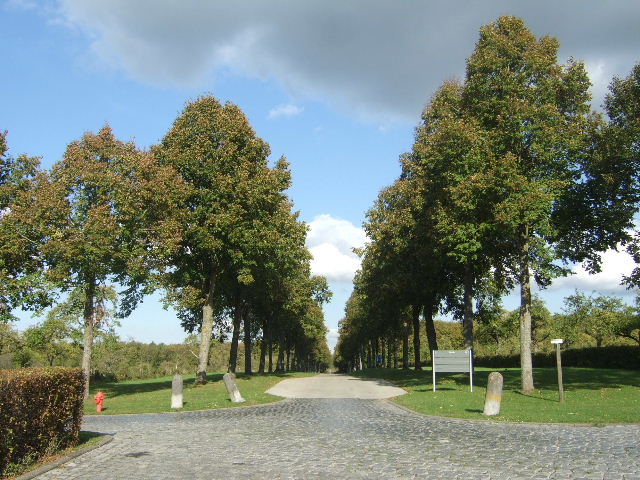 e0129400_1695611.jpg