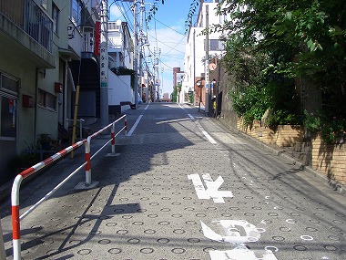 東福院(四谷散歩 大江戸散歩)_c0187004_8203928.jpg