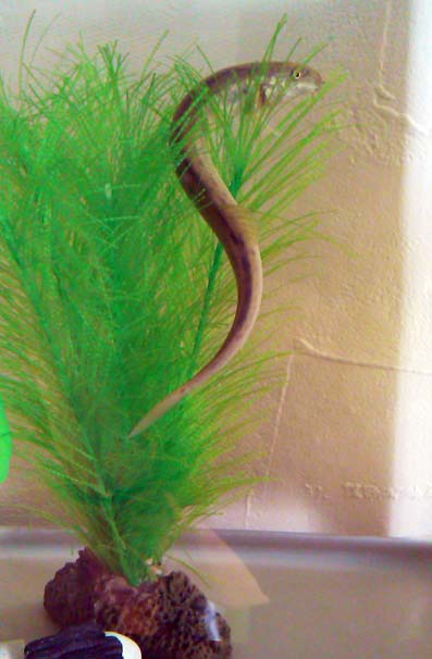 c0205304_921321.jpg