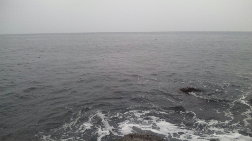 f0035404_2072443.jpg