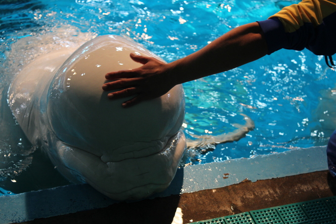 a0208109_0263058.jpg