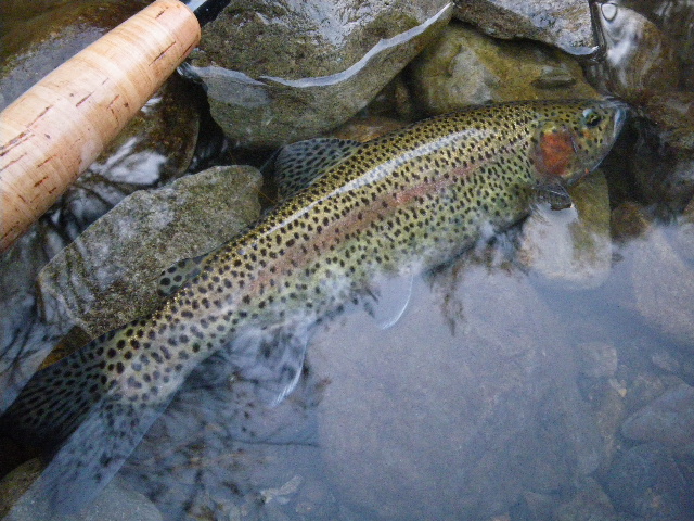 d0139909_22413957.jpg