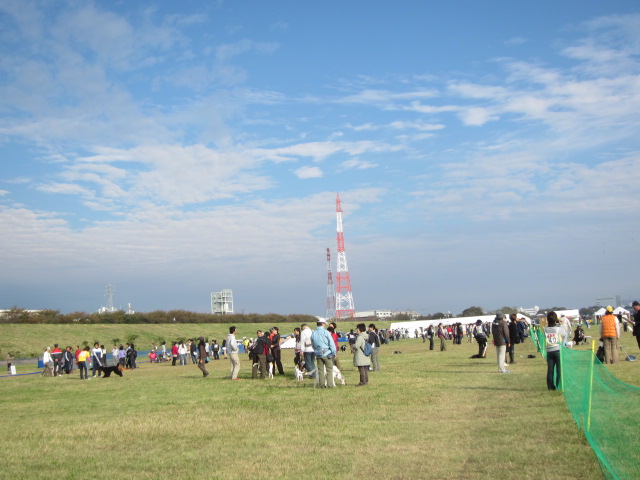d0150309_20234598.jpg