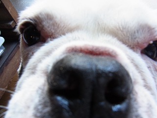 c0201910_20462350.jpg