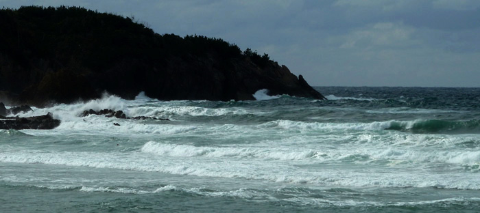 b0130112_18532211.jpg