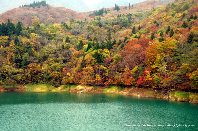 水辺の紅葉_a0162813_19441637.jpg