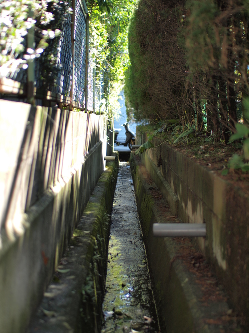 c0156313_1334157.jpg