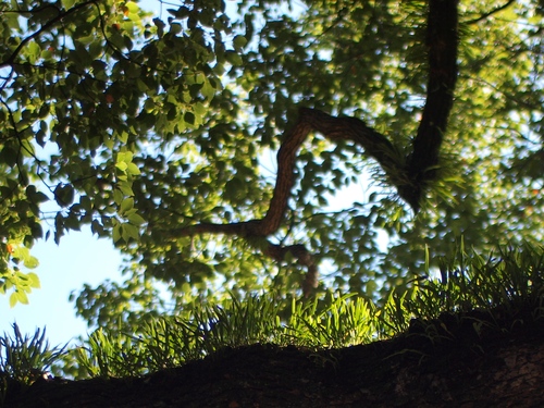 c0156313_1341471.jpg