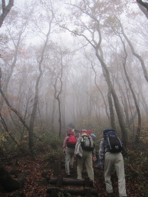 10月・・・3回目の荒島岳_d0103314_2242039.jpg