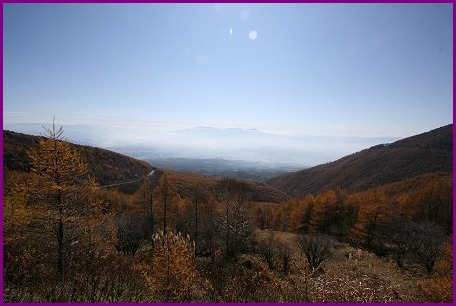 d0143214_21321699.jpg