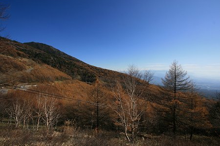 d0143214_21324546.jpg