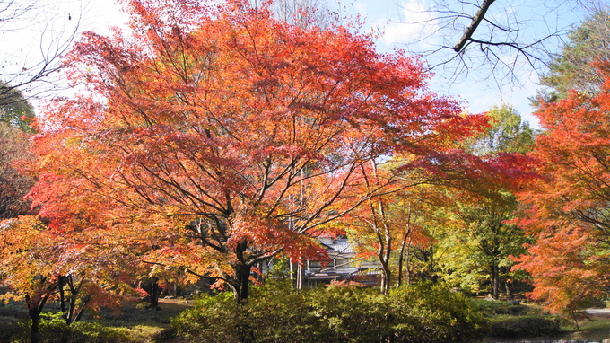 安曇野の紅葉と虹　鐘の鳴る丘、その他の名所_f0233414_2136279.jpg