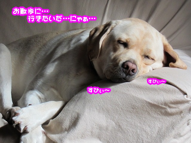 e0192217_10185715.jpg