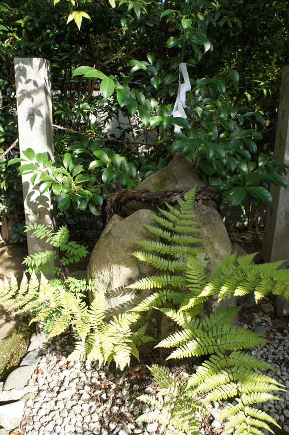 京都　伏見稲荷神社　6_b0192820_2304813.jpg